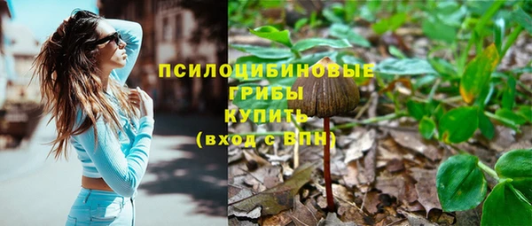 дурь Костерёво