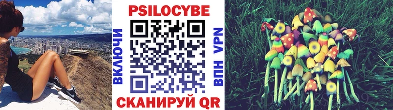 Псилоцибиновые грибы Cubensis  Купить где  Кыштым 